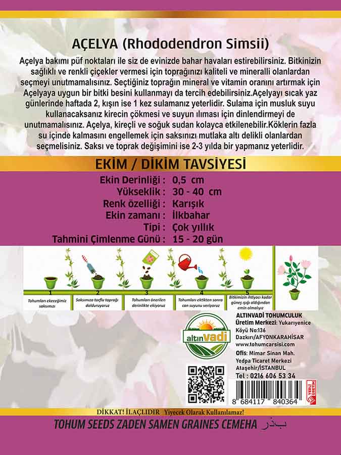 Açelya Çiçeği - Görsel 2