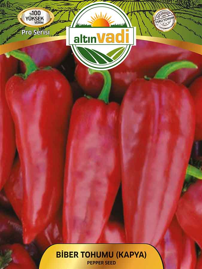 Biber Kapya