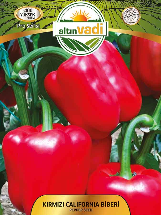 Biber Kırmızı Kaliforniya
