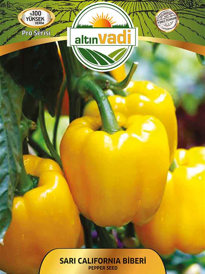 Biber Sarı Kaliforniya