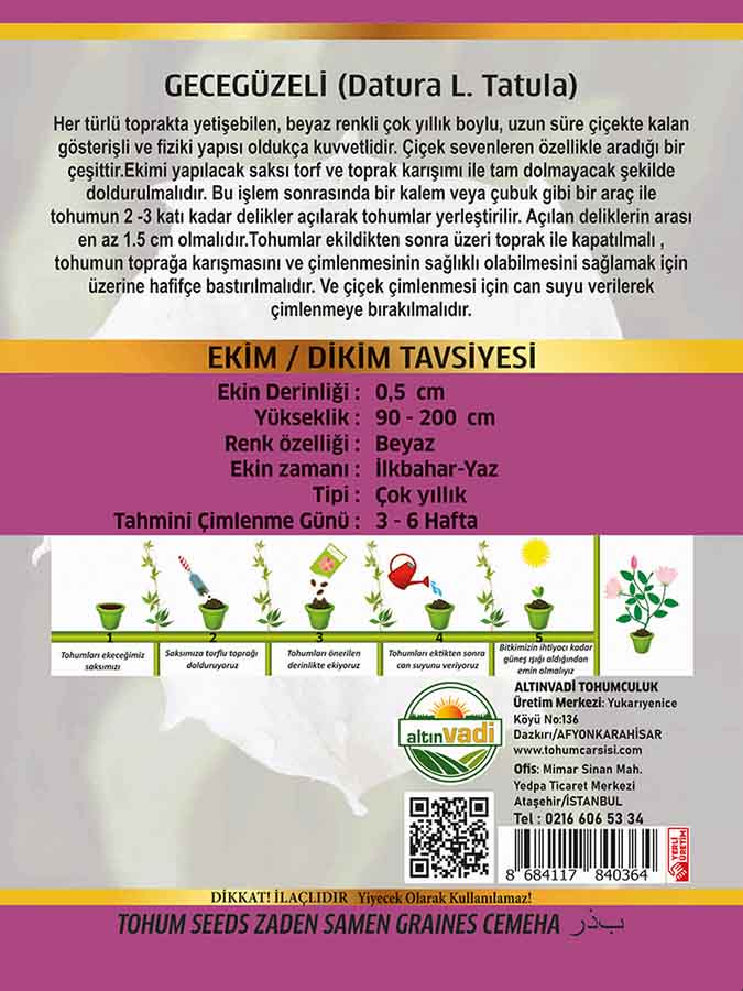 Gecegüzeli - Görsel 2