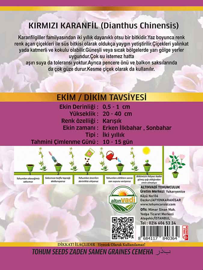 Çin Karanfili - Görsel 2
